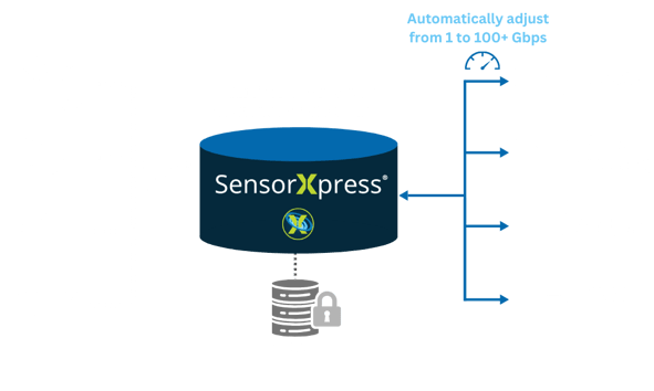PX Spider Graphic V1 (14)