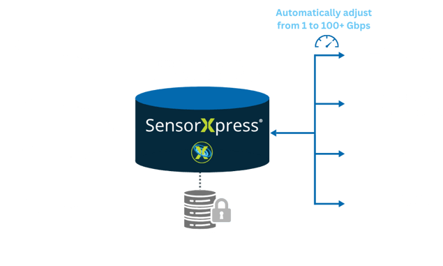 PX Spider Graphic V1 (14)