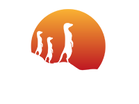 Suricata