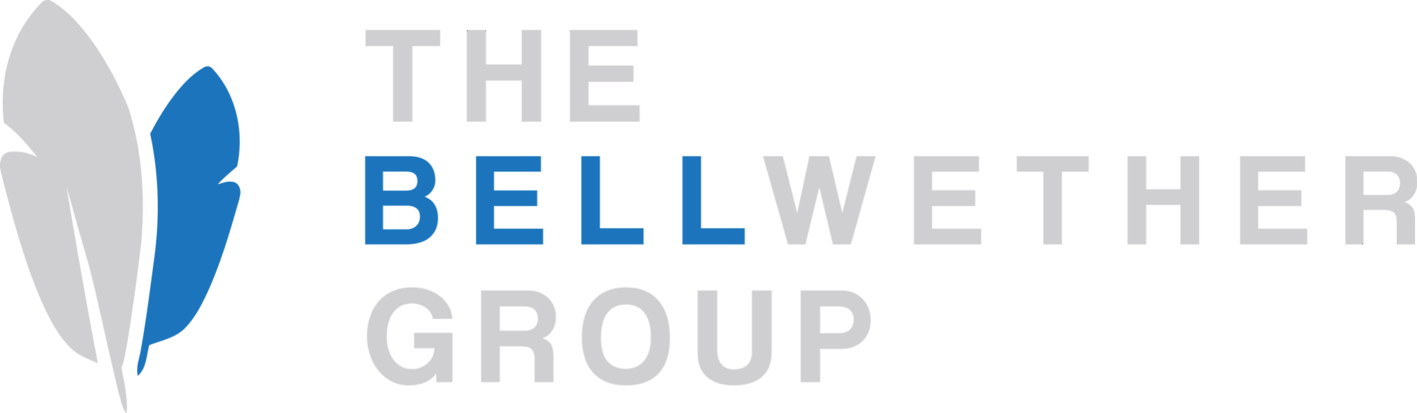 TBG_Logo_RefinedSilvery_transparent