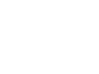 Wire Shark